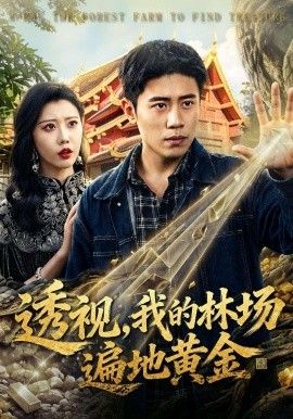 透视，我的林场遍地黄金手机电影