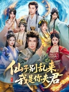 仙子别乱来，我是你夫君手机电影