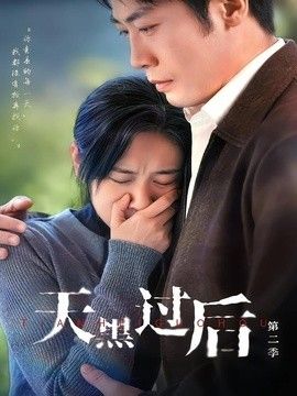 天黑过后第二季手机电影