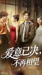 爱意已决不再相望手机电影