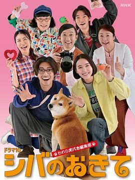 柴犬的规矩我们这群狗痴编辑部手机电影