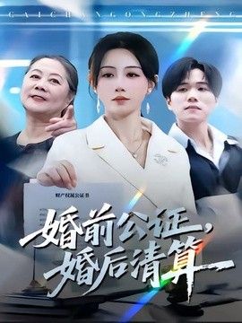 婚前公证，婚后清算手机电影