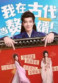 我在古代当赘婿手机电影