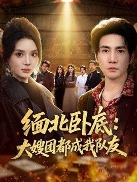 缅北卧底：大嫂团都成我队友手机电影