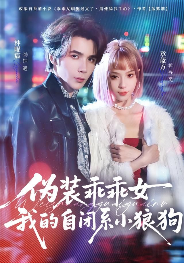 伪装乖乖女我的自闭系小狼狗手机电影