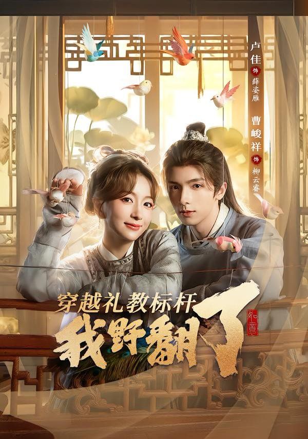 穿越礼教标杆我野翻了手机电影