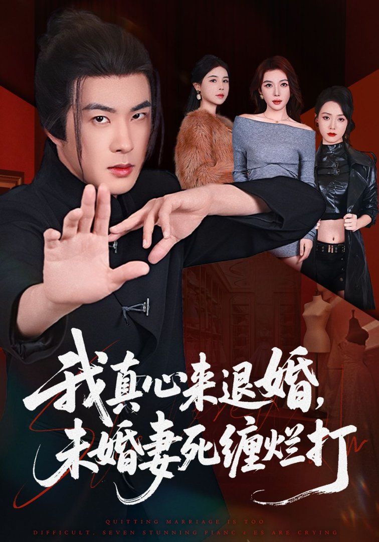 我真心来退婚，未婚妻死缠烂打手机电影