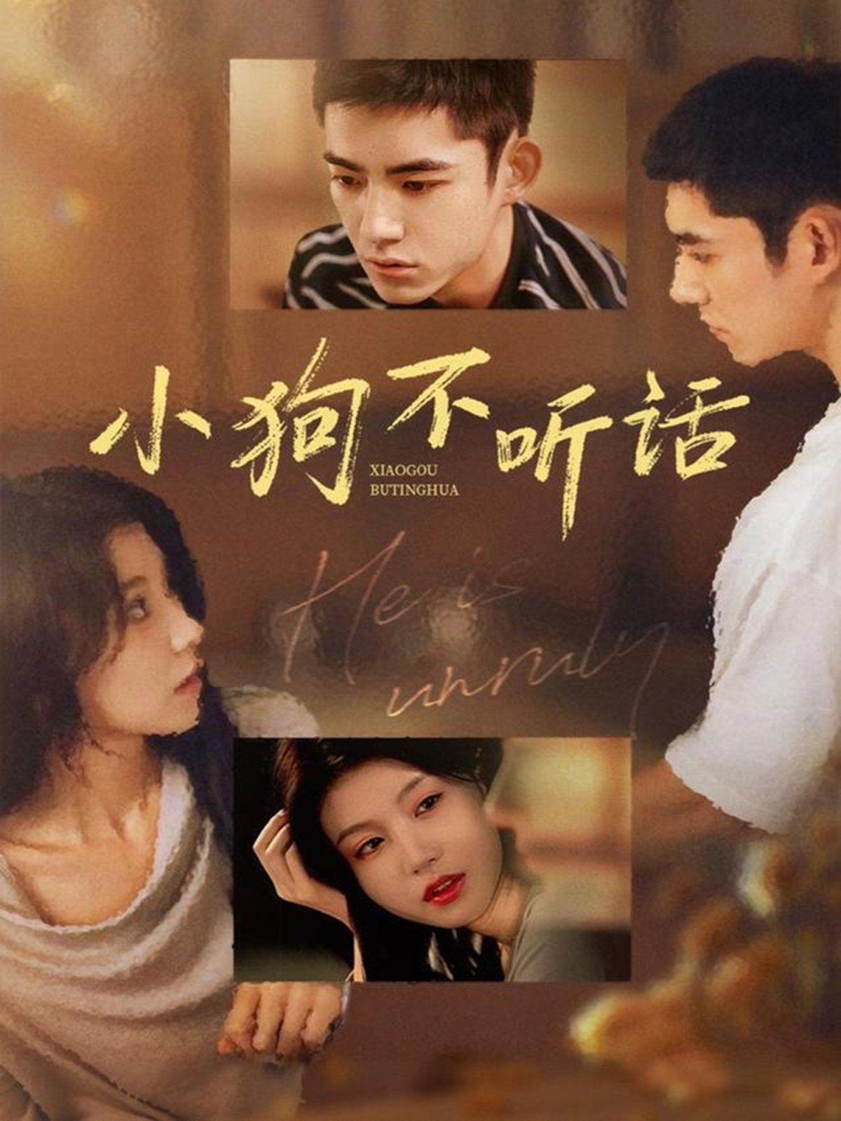 小狗不听话手机电影