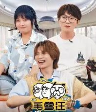 毛雪汪手机电影