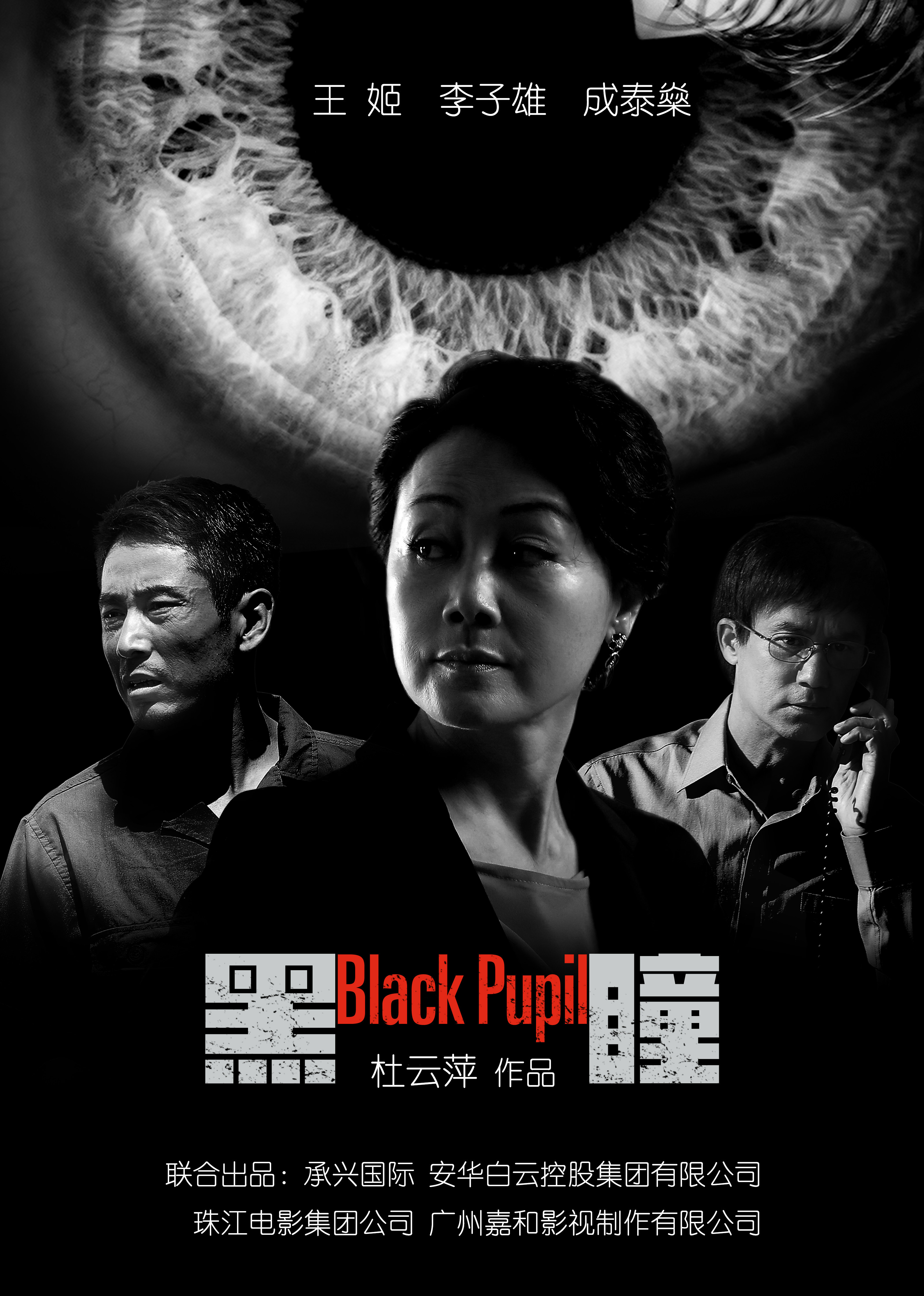 2018剧情片《黑瞳》迅雷下载_中文完整版_百度云网盘720P|1080P资源