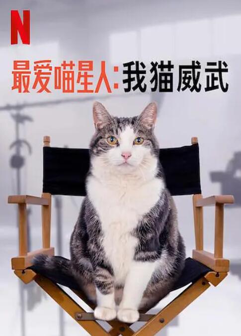 最爱喵星人：我猫威武}