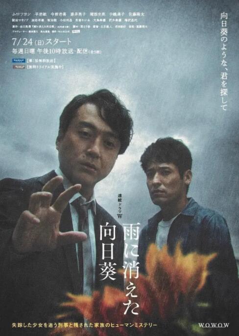 2018日韩剧《雨中消失的向日葵》迅雷下载_中文完整版_百度云网盘720P|1080P资源